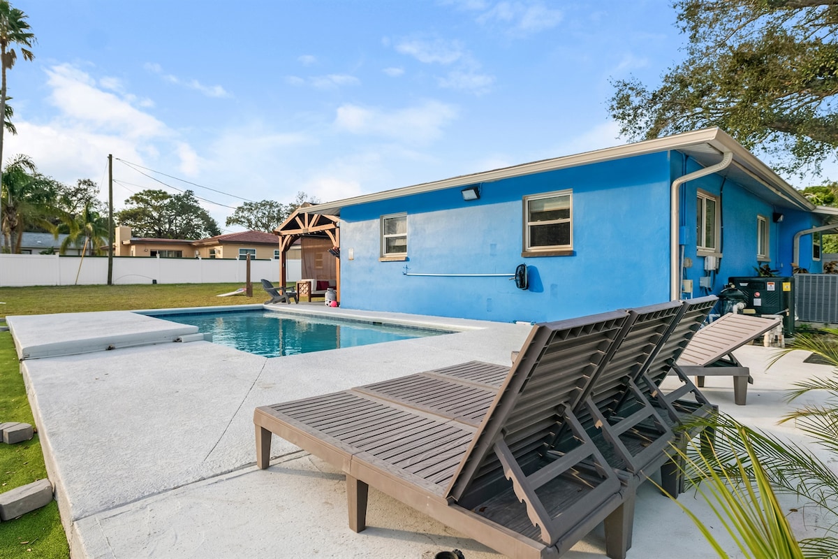 The Dunedin Duo - Photo 4